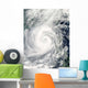 Typhoon Megi Wall Decal Design 3