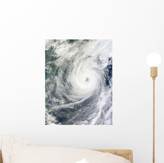 Typhoon Megi Wall Decal Design 1