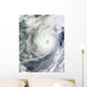 Typhoon Megi Wall Decal Design 1