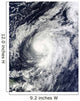 Hurricane Otto Wall Decal Design 2