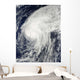 Hurricane Otto Wall Decal Design 1