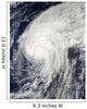 Hurricane Otto Wall Decal Design 1
