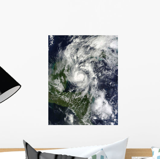 Hurricane Paula Wall Decal Design 2