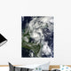 Hurricane Paula Wall Decal Design 2
