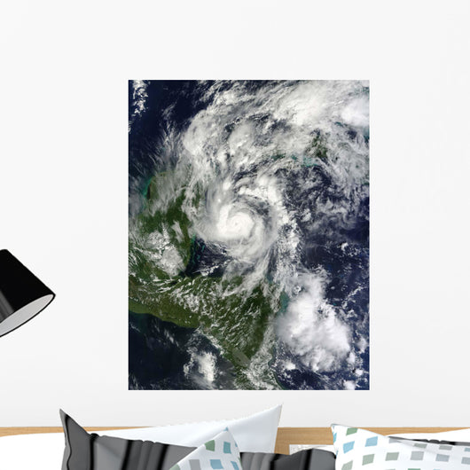 Hurricane Paula Wall Decal Design 2