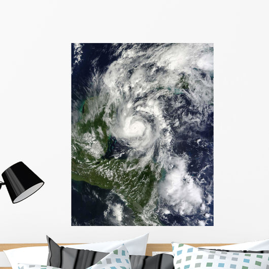 Hurricane Paula Wall Decal Design 2