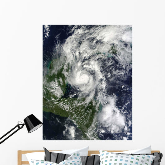 Hurricane Paula Wall Decal Design 2