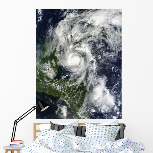 Hurricane Paula Wall Decal Design 2