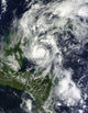 Hurricane Paula Wall Decal Design 2