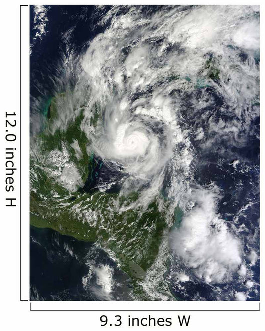 Hurricane Paula Wall Decal Design 2