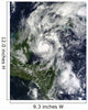 Hurricane Paula Wall Decal Design 2