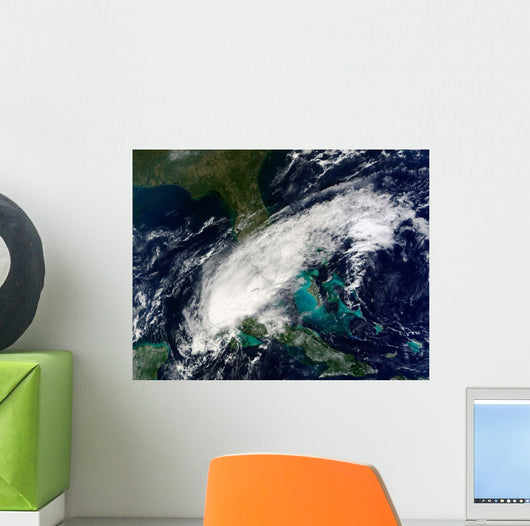 Hurricane Paula Wall Decal Design 1