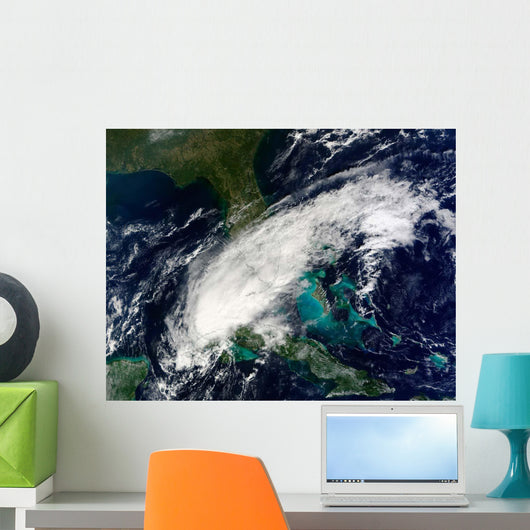 Hurricane Paula Wall Decal Design 1