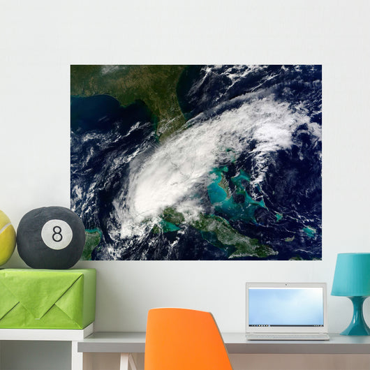 Hurricane Paula Wall Decal Design 1