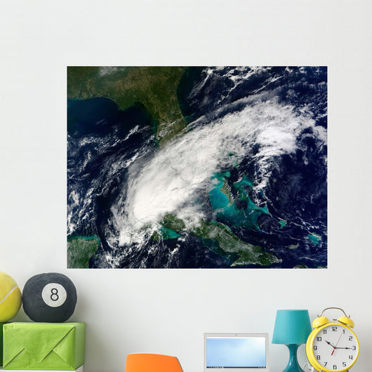 Hurricane Paula Wall Decal Design 1
