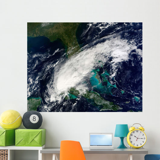 Hurricane Paula Wall Decal Design 1