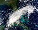 Hurricane Paula Wall Decal Design 1