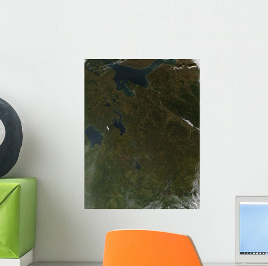 Fall Colors Northwestern Russia Wall Decal