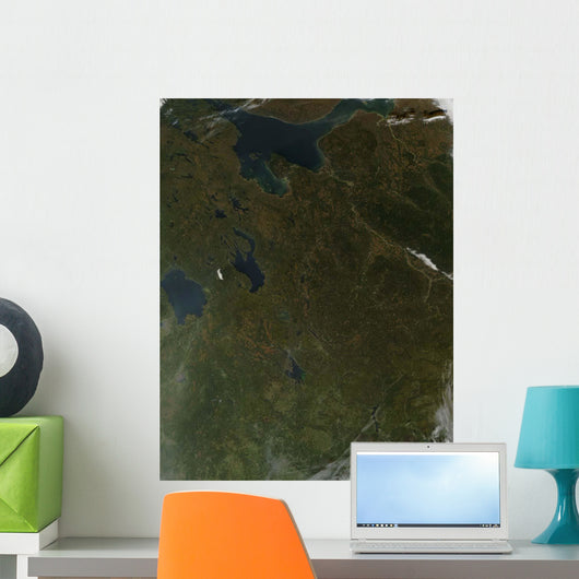 Fall Colors Northwestern Russia Wall Decal