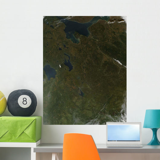 Fall Colors Northwestern Russia Wall Decal