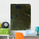 Fall Colors Northwestern Russia Wall Decal
