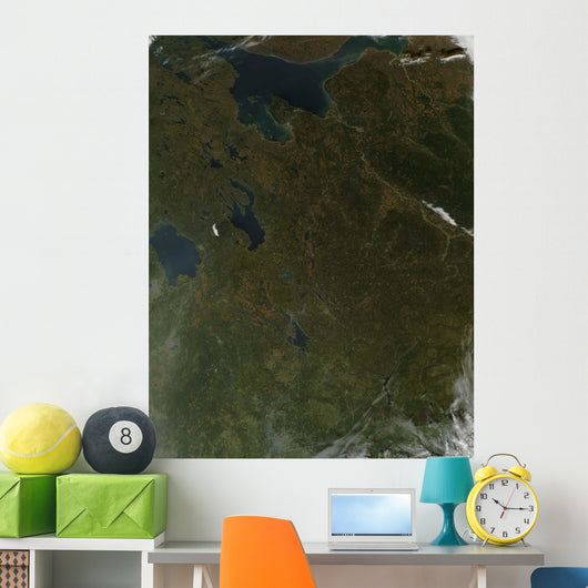 Fall Colors Northwestern Russia Wall Decal