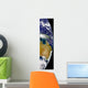 Partial Earth Showing Australia Wall Decal