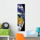 Partial Earth Showing Australia Wall Decal
