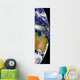 Partial Earth Showing Australia Wall Decal