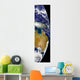 Partial Earth Showing Australia Wall Decal