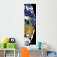 Partial Earth Showing Australia Wall Decal