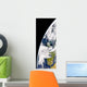 Earth from Space Showing Wall Decal