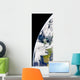 Earth from Space Showing Wall Decal