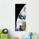 Earth from Space Showing Wall Decal