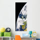 Earth from Space Showing Wall Decal