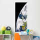 Earth from Space Showing Wall Decal