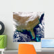 Satellite Southeastern United States Wall Decal Design 2