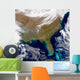 Satellite Southeastern United States Wall Decal Design 2