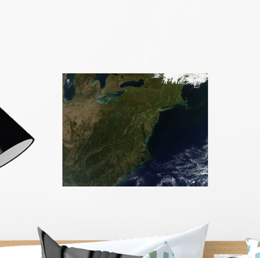Fall Colors Northeastern United Wall Decal Design 2