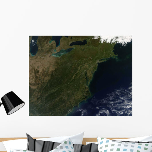 Fall Colors Northeastern United Wall Decal Design 2