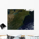 Fall Colors Northeastern United Wall Decal Design 2