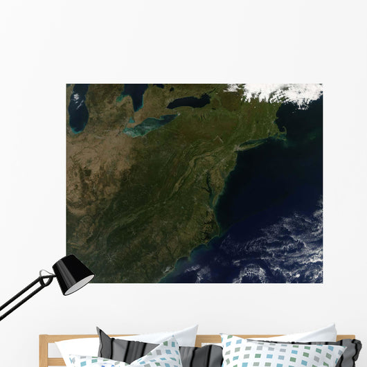Fall Colors Northeastern United Wall Decal Design 2