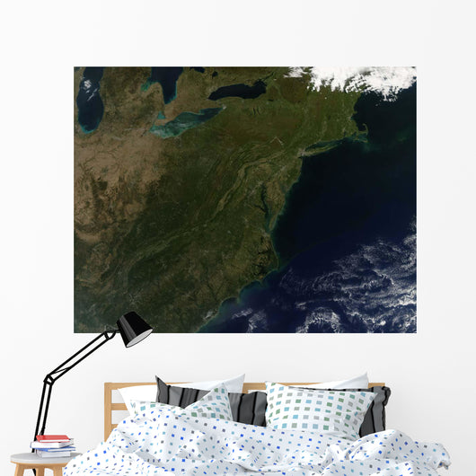 Fall Colors Northeastern United Wall Decal Design 2