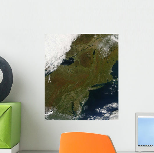 Fall Colors Northeastern United Wall Decal Design 1