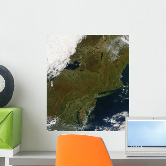 Fall Colors Northeastern United Wall Decal Design 1