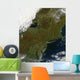 Fall Colors Northeastern United Wall Decal Design 1