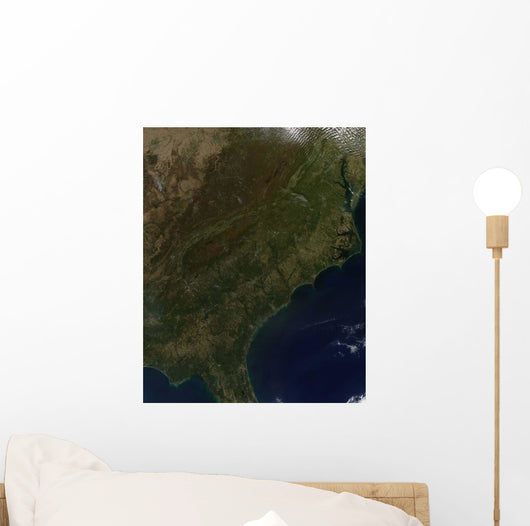 Fall Colors Southeastern United Wall Decal