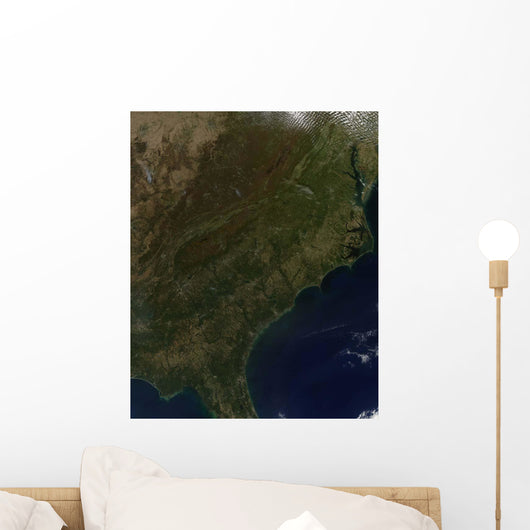 Fall Colors Southeastern United Wall Decal