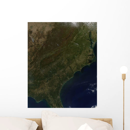 Fall Colors Southeastern United Wall Decal
