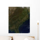 Fall Colors Southeastern United Wall Decal